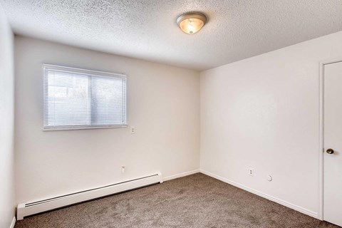 A room with a ceiling light, window, and a carpeted floor.