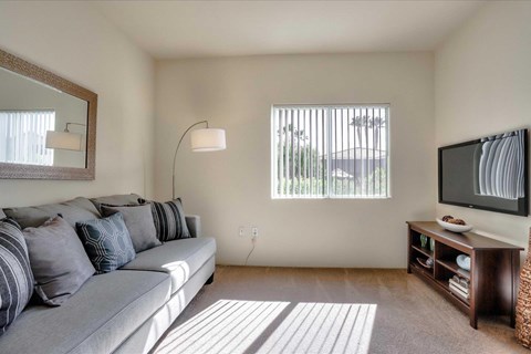 A living room with a grey couch, a television, and a floor lamp.