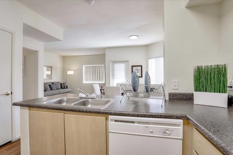 A modern kitchen with a dishwasher and a sink.