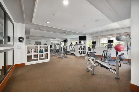 A gym with a variety of equipment including weights and cardio machines.