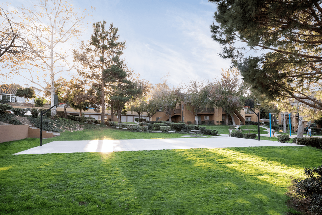 a sunny day in the park with trees and buildings in the background