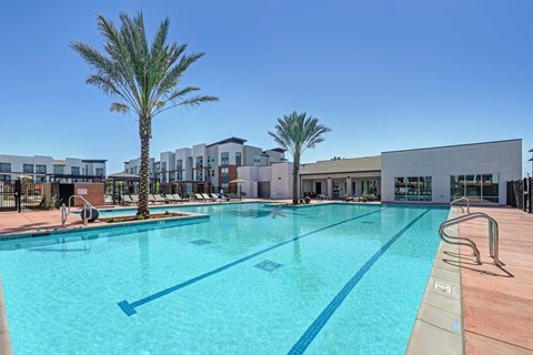 Huge swimming pool with submerged lane lines and palm tree surround.