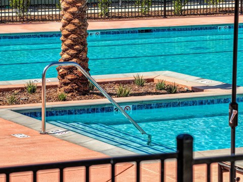 Pool entry with railing, palm tree, and staircase.