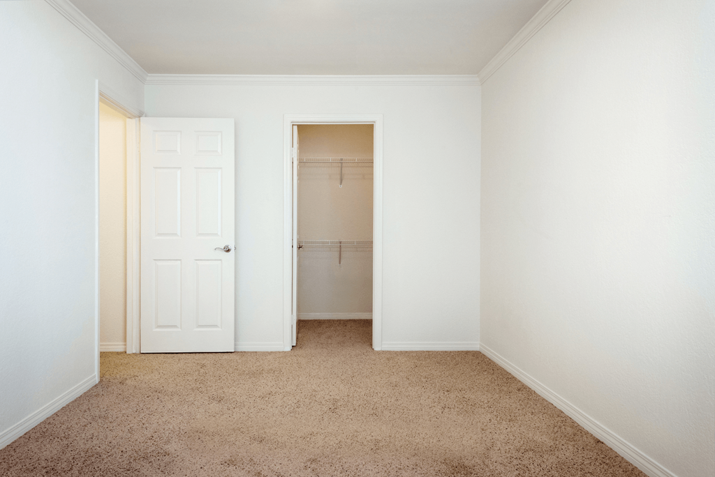 a bedroom with a closet and a carpeted floor