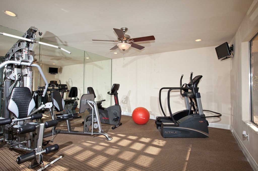 the gym at the shiloh green apartments in kennesaw, ga