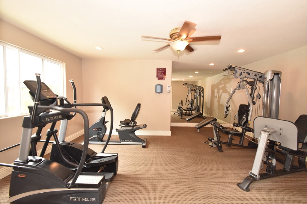 the gym at the shiloh green apartments in kennesaw, ga