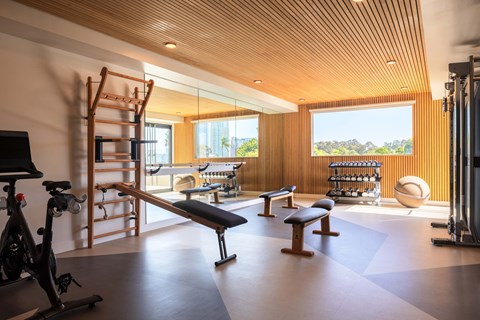 A gym with a wooden floor and a wooden ceiling.
