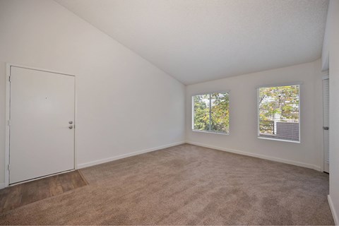 A room with a white door and two windows with a view of trees.