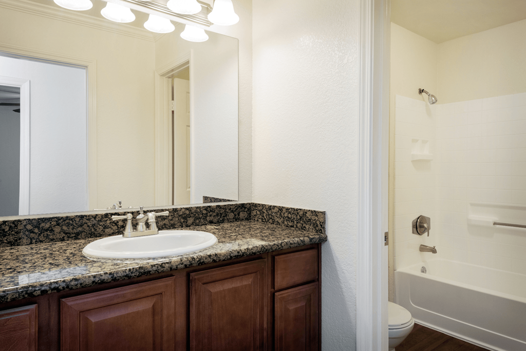 a bathroom with a sink and a toilet