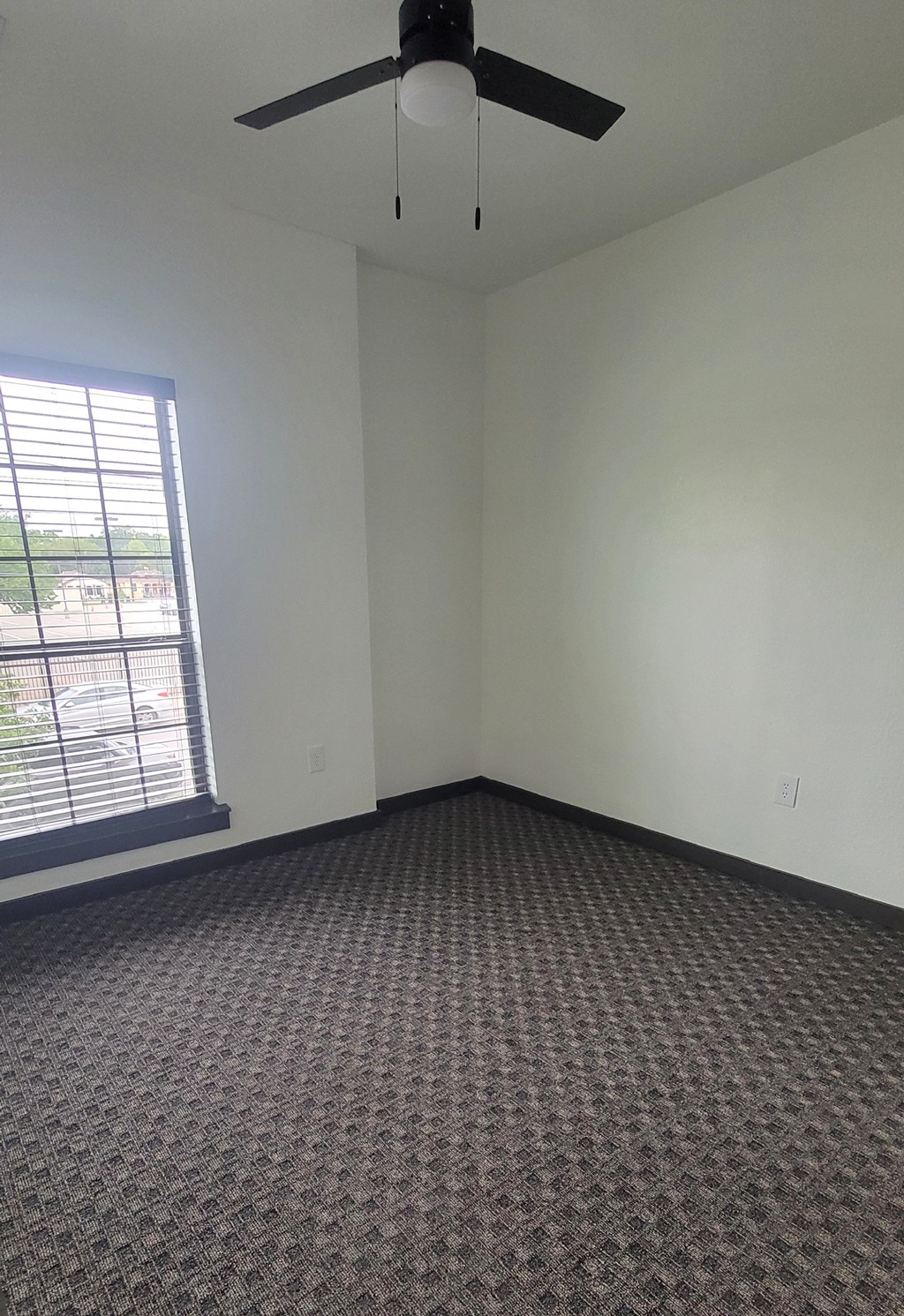 Carpeted room at The Talon, Denton, Texas