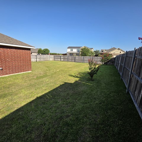 A backyard with a fence and a small tree.