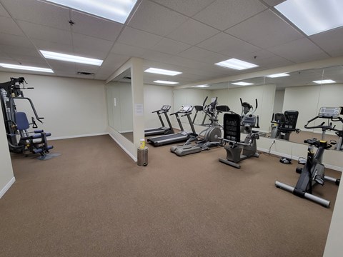 A gym with a variety of exercise equipment.