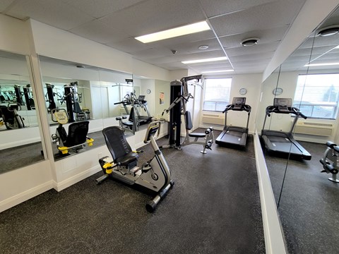 A gym with treadmills, elliptical machines, and other cardio equipment.