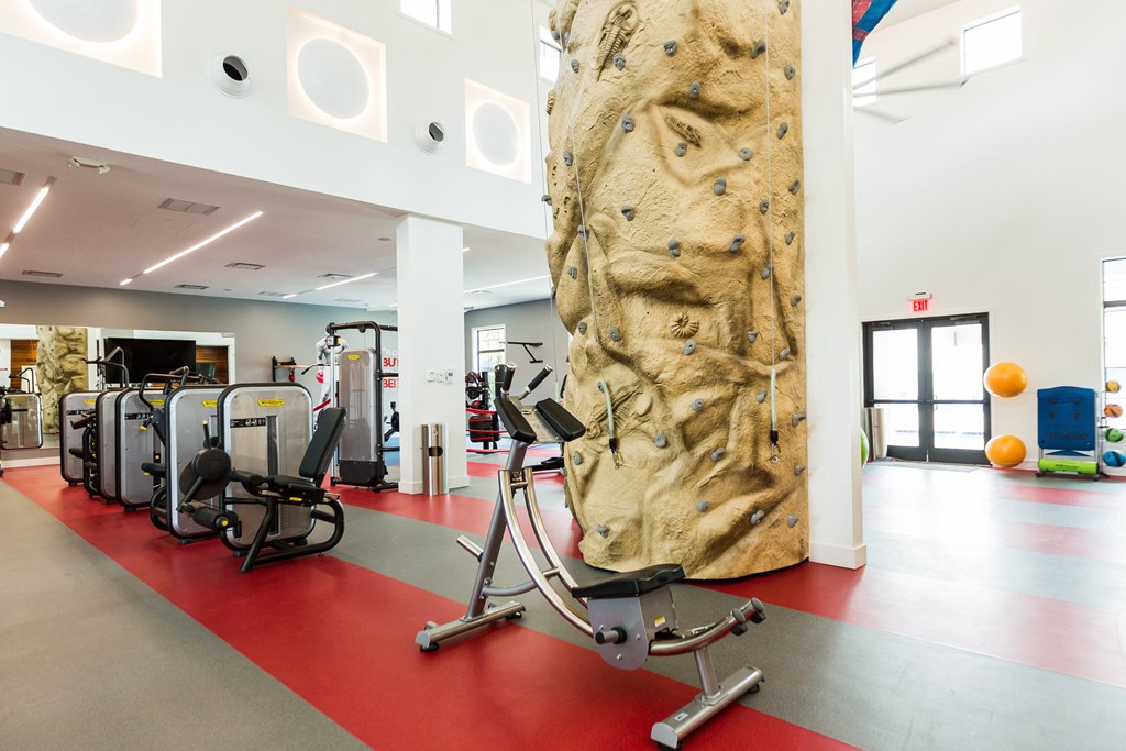the gym with a large rock wall and various exercise equipment