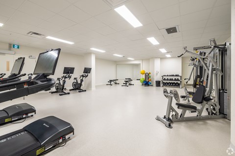 A gym with treadmills, exercise bikes, and other equipment.