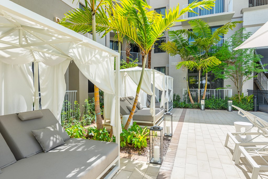a patio with chairs and umbrellas and palm trees