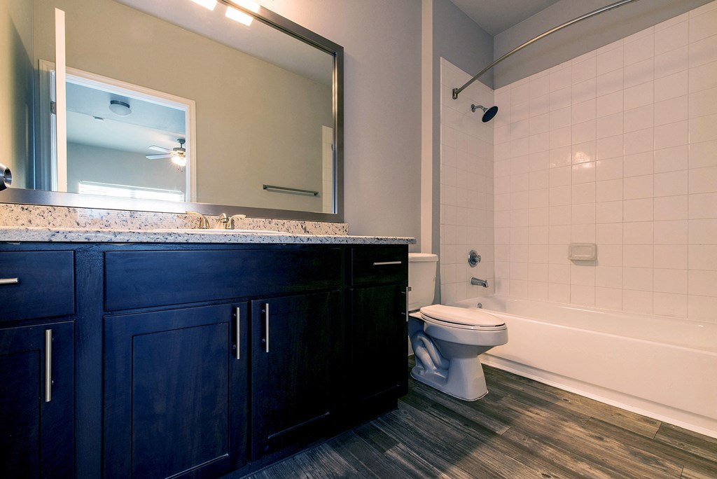 a bathroom with a toilet and a sink and a mirror