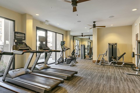 the apartments at masse corner 205 fitness room