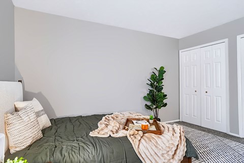 A cozy bedroom with a bed covered in a green comforter and a tray with a book and a plant on it.