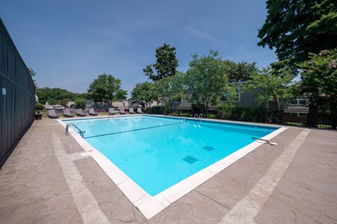 A rectangular pool with a white border and a blue interior.