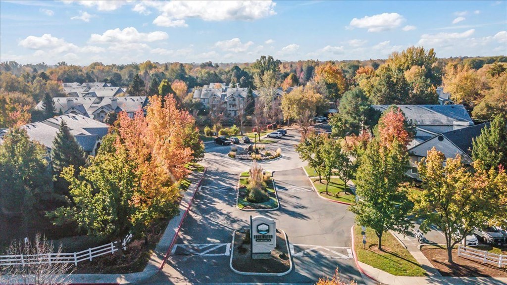 an aerial view of a neighborhood with trees and houses