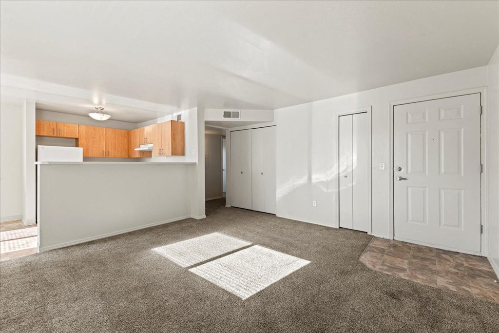 A spacious room with white doors and a carpeted floor.