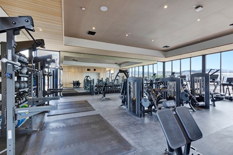 A spacious gym with a variety of equipment and a large window overlooking the beach.