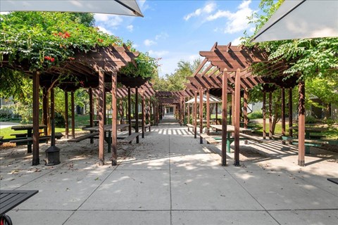 a covered walkway with benches and trees in a park