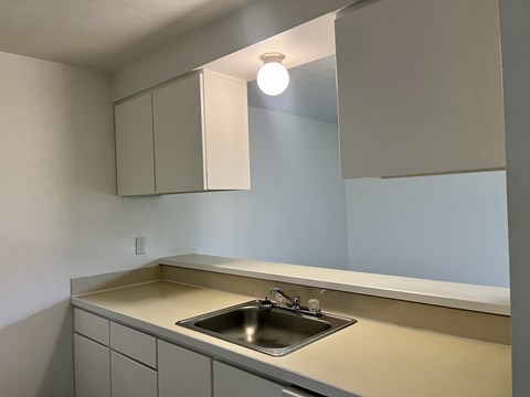 A kitchen with a sink and cabinets.