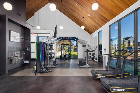 A gym with treadmills and exercise equipment.