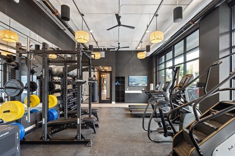 A gym with a variety of equipment including treadmills, weights, and exercise machines.