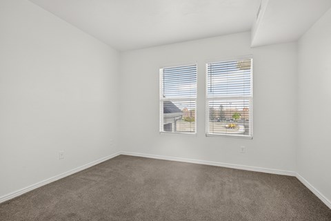 A room with carpeted floor and two windows.