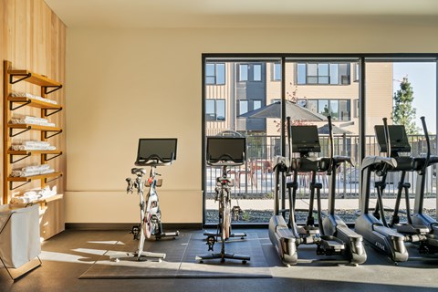A gym with treadmills, exercise bikes and a rowing machine.