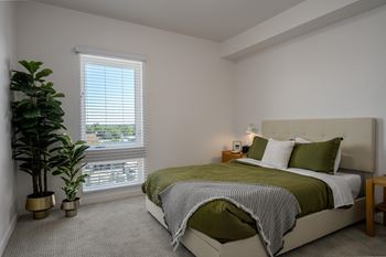 a bedroom with a bed and a plant and a window