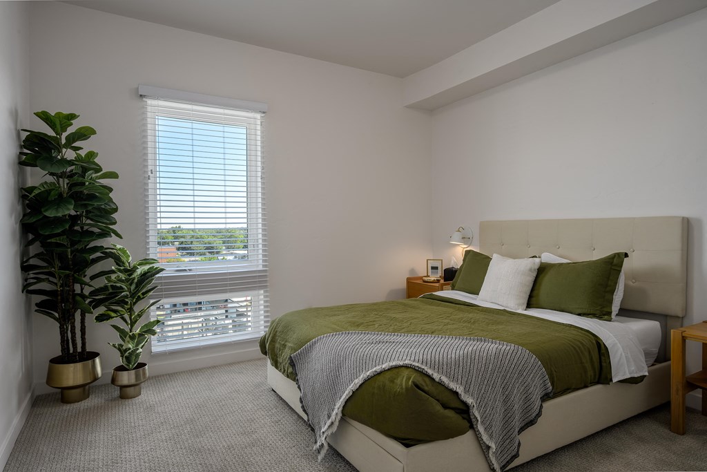a bedroom with a bed and a plant and a window
