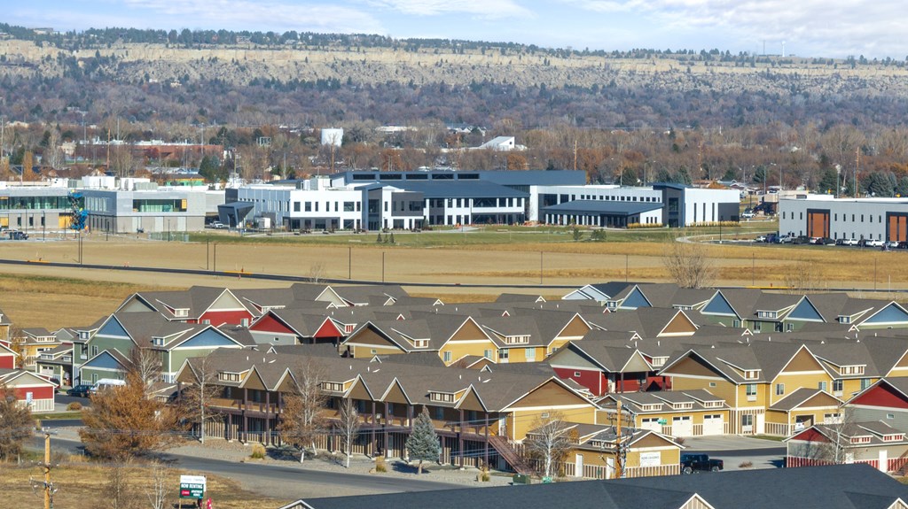 A large group of houses with a mountain in the background.