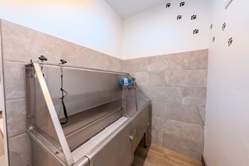 A stainless steel sink in a bathroom with a wall of tiles. at Silverbrook Apartments, Kalispell, MT