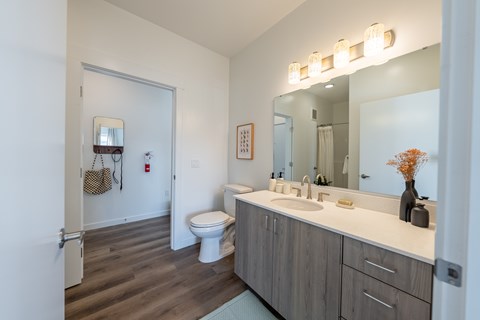 A bathroom with a toilet, sink, and mirror. at Silverbrook Apartments, Montana