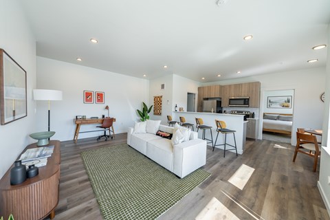 A living room with a white couch and a green rug.