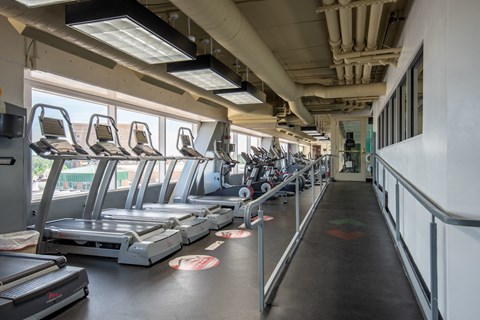 a row of cardio machines in a gym at The Lucy Boise Apartments, Idaho