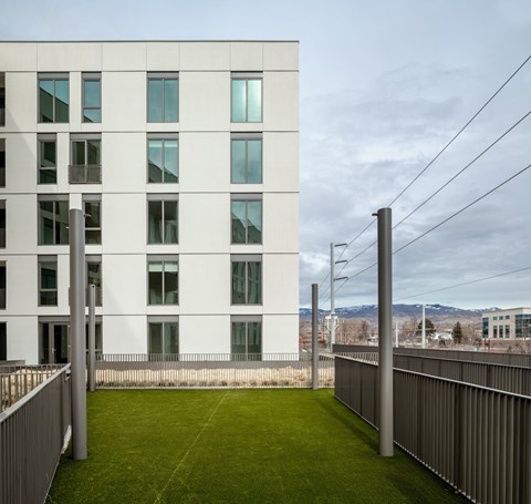 a green lawn in front of a white building