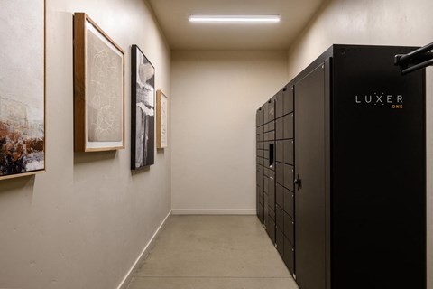 a row of lockers in a room with paintings on the wall at The Lucy Boise Apartments, Idaho, 83702