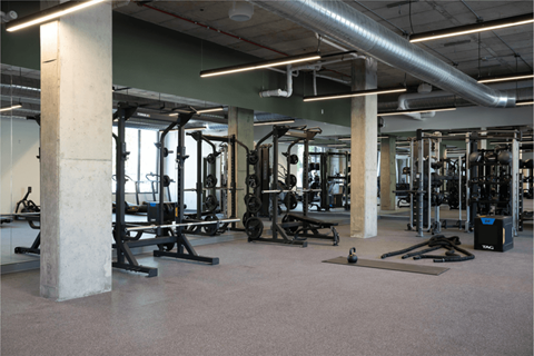 A gym with a variety of equipment including weights and cardio machines.