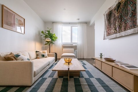 A living room with a couch, a coffee table, and a rug.