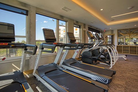 A gym with treadmills and elliptical machines.