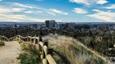 A cityscape is visible in the distance behind a wooden fence on a hill.
