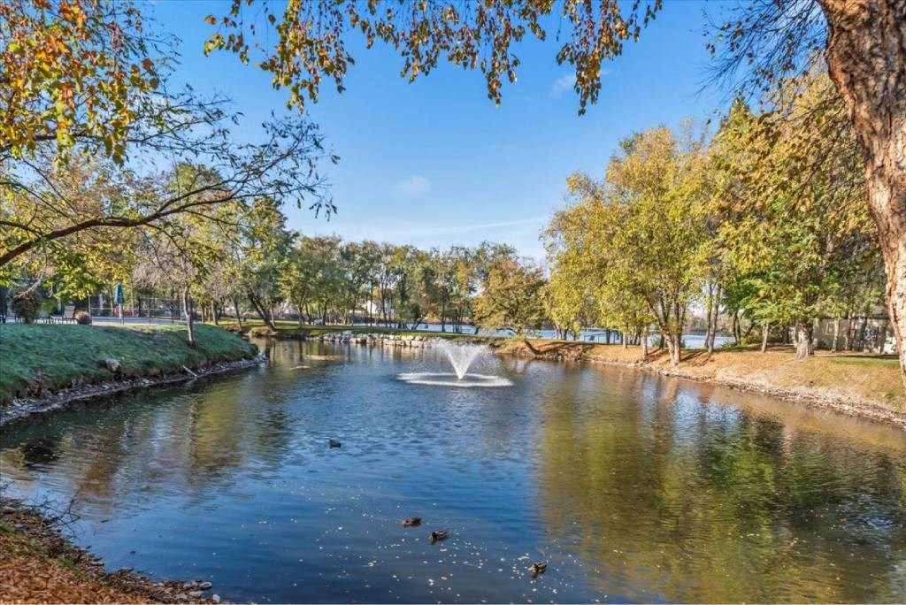 A serene park scene with a fountain in the middle of a calm pond.