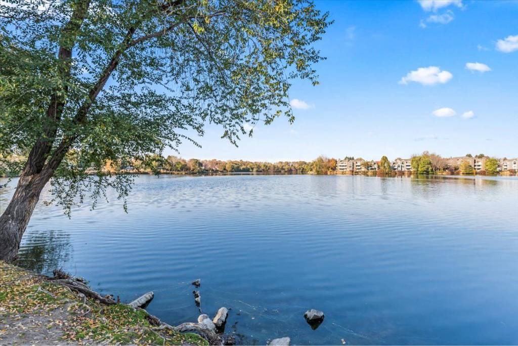 A serene lake with a tree on the left and buildings in the distance.