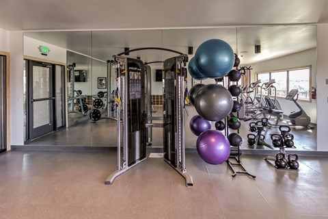 A gym with a variety of equipment including a treadmill, weights and a rowing machine.