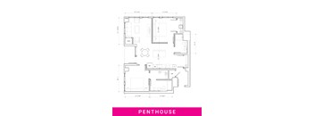 A floor plan of a penthouse apartment with various rooms and measurements.